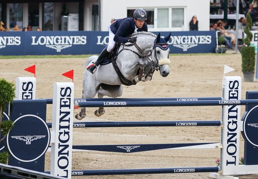 Omerta Incipit von Levisonn aus der Offerte Incipit von Candillo - Acadius | Züchter: Karl Gruber, Ingolstadt