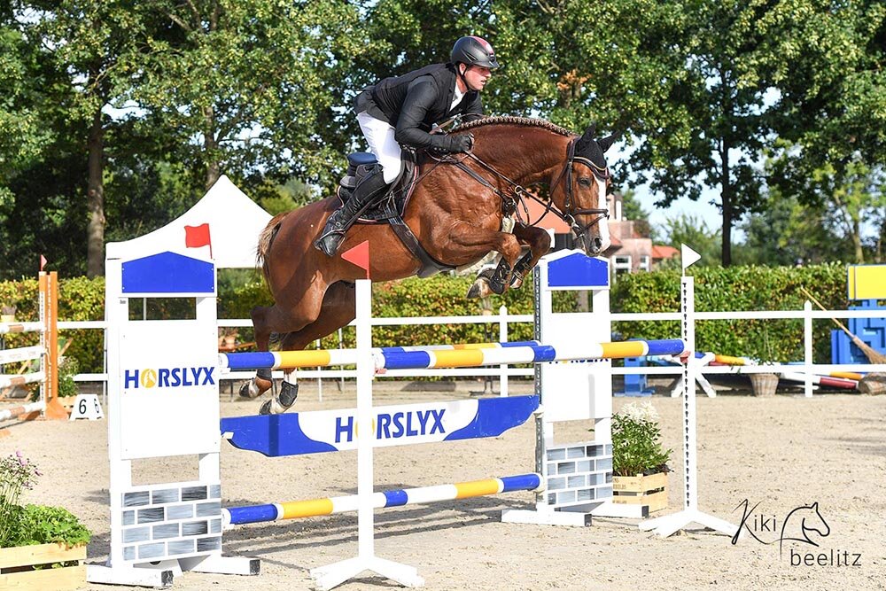 Like Pleasure von For Pleasure aus der Gestelle von Toulon x Voltaire | Züchter: W.F.J. Wigink-Markvoort, Niederlande 