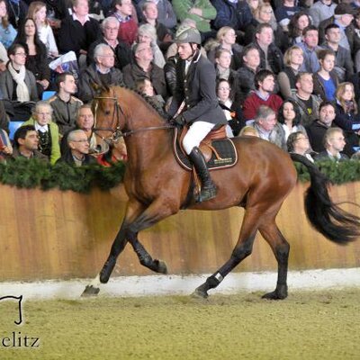 Livestream by Lordanos out of Heidebluete by Landadel - Godehard 