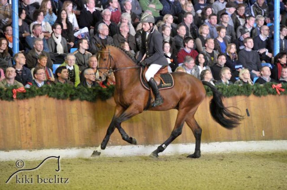 Livestream by Lordanos out of Heidebluete by Landadel - Godehard 