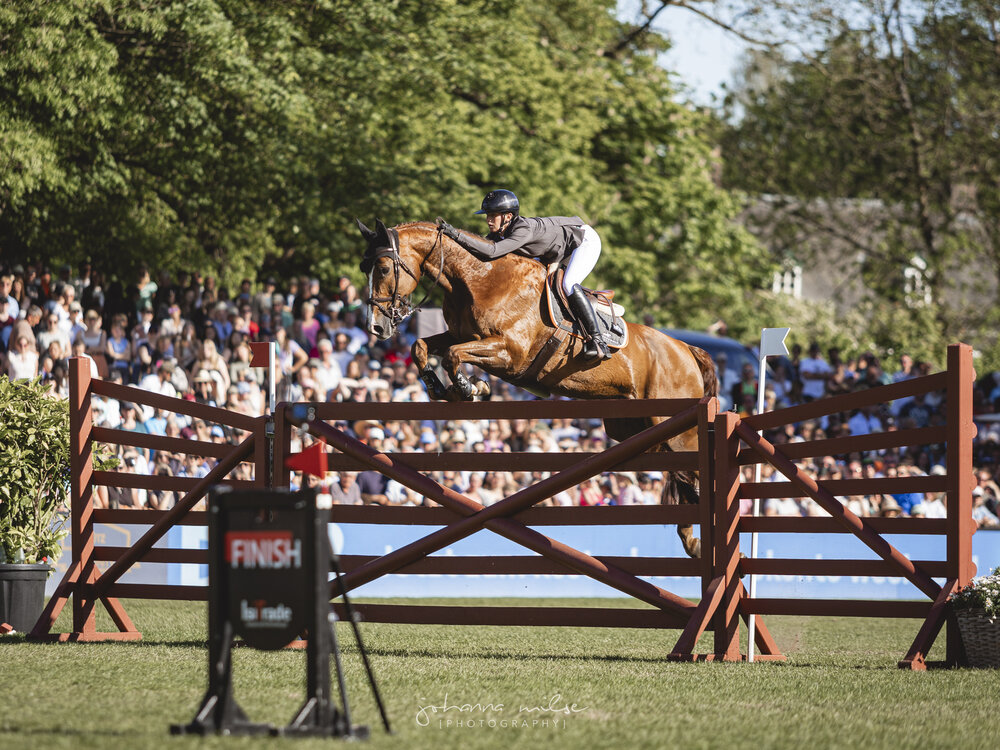 La Vista by Lordanos out of Fantasie by For Pleasure - Aldatus | Breeder: Karl-Heinz Auffarth, Ganderkesee