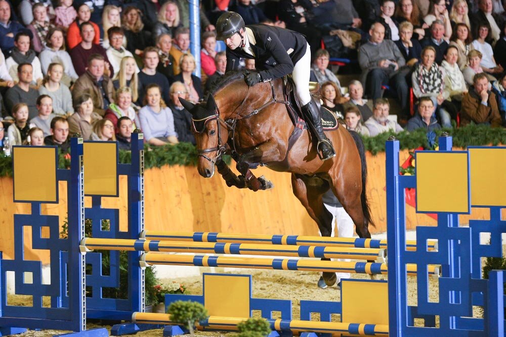 Lyon von Lord Argentinus aus der Lexis Girl von Lex Lugar - Couleur-Rubin 