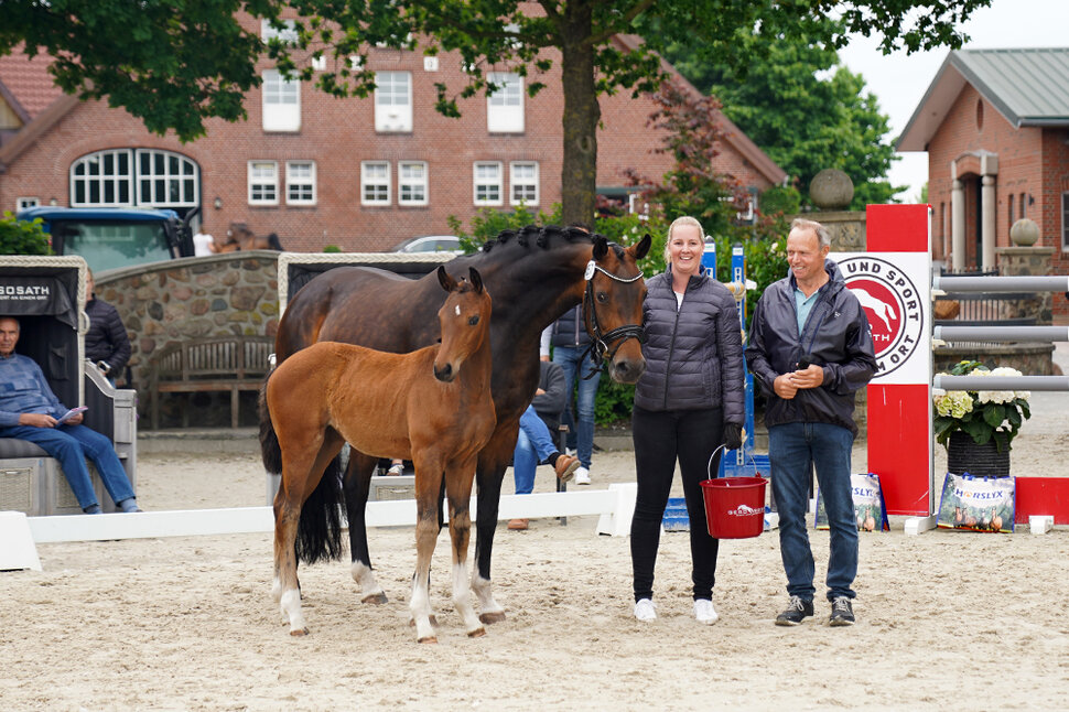 Filly by Moreno out of For Roses by For Romance x Rousseau | Breeder: ZG Hoekstra-Siemer, Barßel 