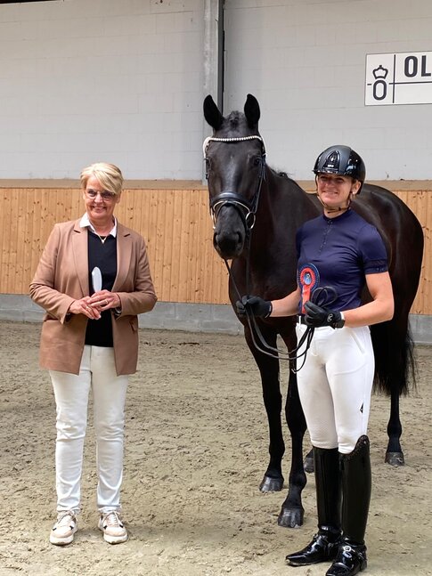 Oldenburg Main Premium mare Bella Morena by Moreno out of Bonita le Fleur by For Dance - Ampère | Breeder: Gerd Sosath, Lemwerder