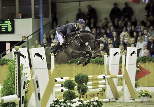 Naldo von Nabab de Revê aus der Larisa von Voltaire - Ramiro Z | Züchter: F.J. van Esch, Niederlande