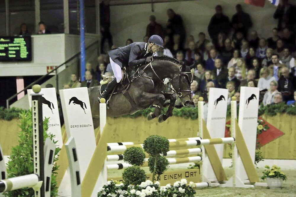 Naldo von Nabab de Revê aus der Larisa von Voltaire - Ramiro Z | Züchter: F.J. van Esch, Niederlande