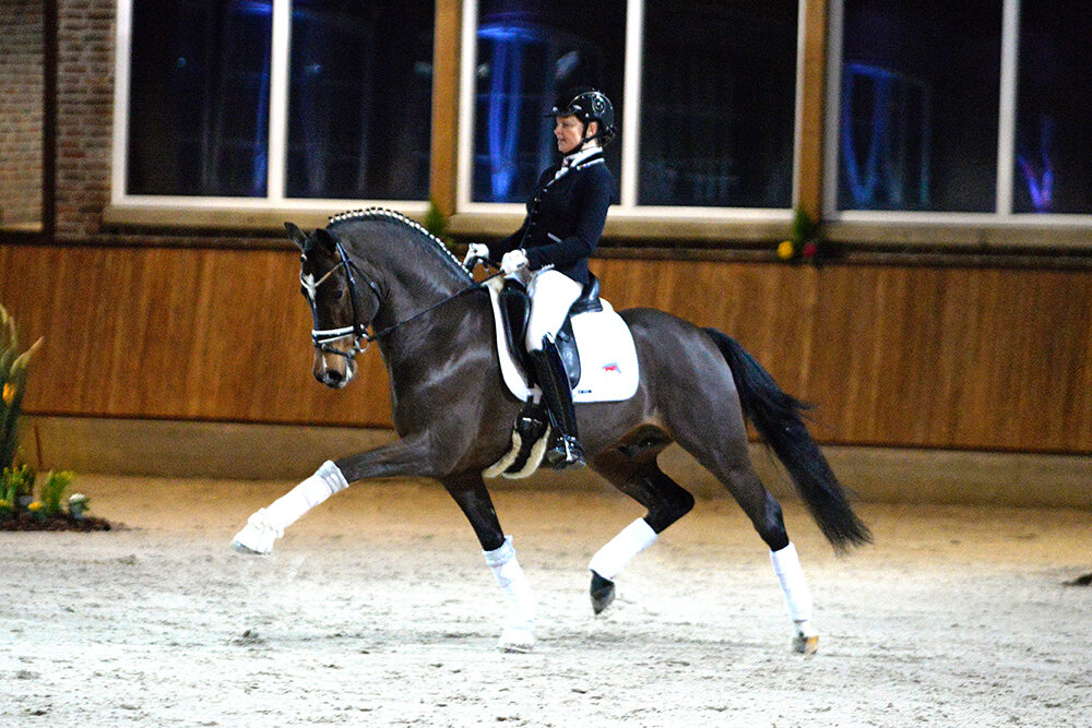 Neverland WE by FS Numero Uno out of Sophia by Champus K -Dressman I | Breeder: Reinhard Kramer, Lathen  