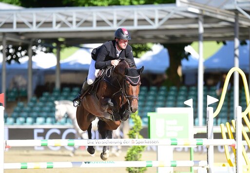 Ogano von Ogano Sitte aus der Jamaica van de Beemden von Diarado - Cantus | Züchter: Willy Hendrix, Belgien