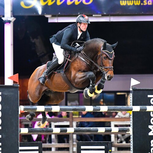 Ogano by Ogano Sitte out of Jamaica van de Beemden by Diarado - Cantus | Breeder: Willy Hendrix, Belgium