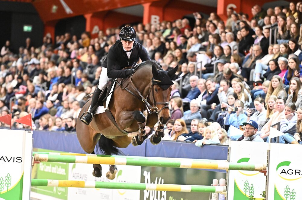 Ogano von Ogano Sitte aus der Jamaica van de Beemden von Diarado - Cantus | Züchter: Willy Hendrix, Belgien