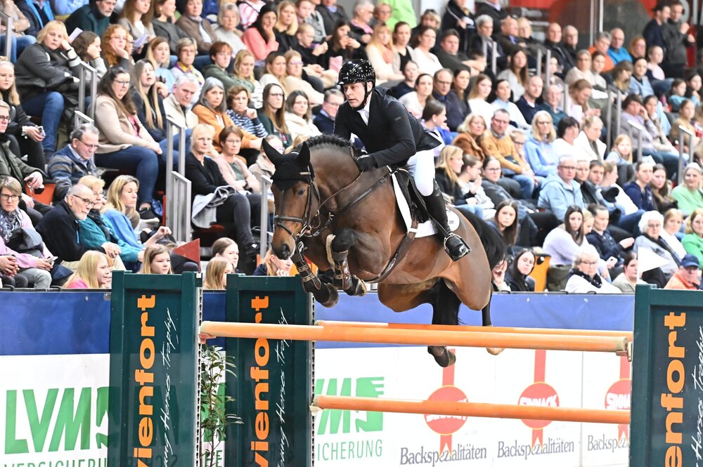 Ogano von Ogano Sitte aus der Jamaica van de Beemden von Diarado - Cantus | Züchter: Willy Hendrix, Belgien