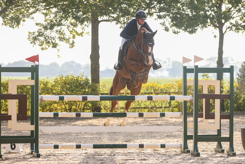 Laola v. Ogano a.d. Laquirinha v. Quality a.d. Lady Heida II v. Landor S  | Züchter: Gerd Sosath