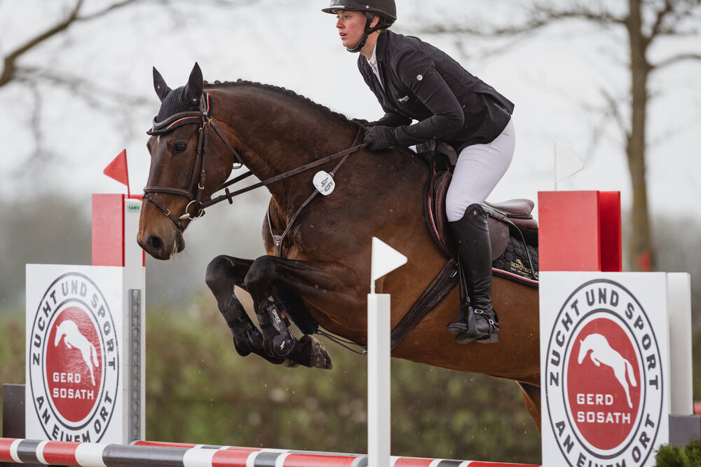 Orlanda von Ogano aus der Lemilia von Ludwigs As - Emilion | Züchter: Gerd Sosath, Lemwerder