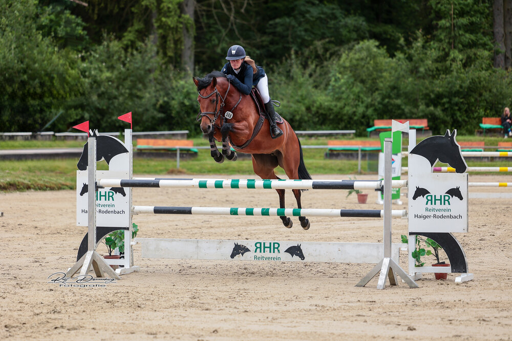 One and Only von Ogano aus der Lady Catokia von Landor S - Contender | Züchter: Gerd Sosath, Lemwerder