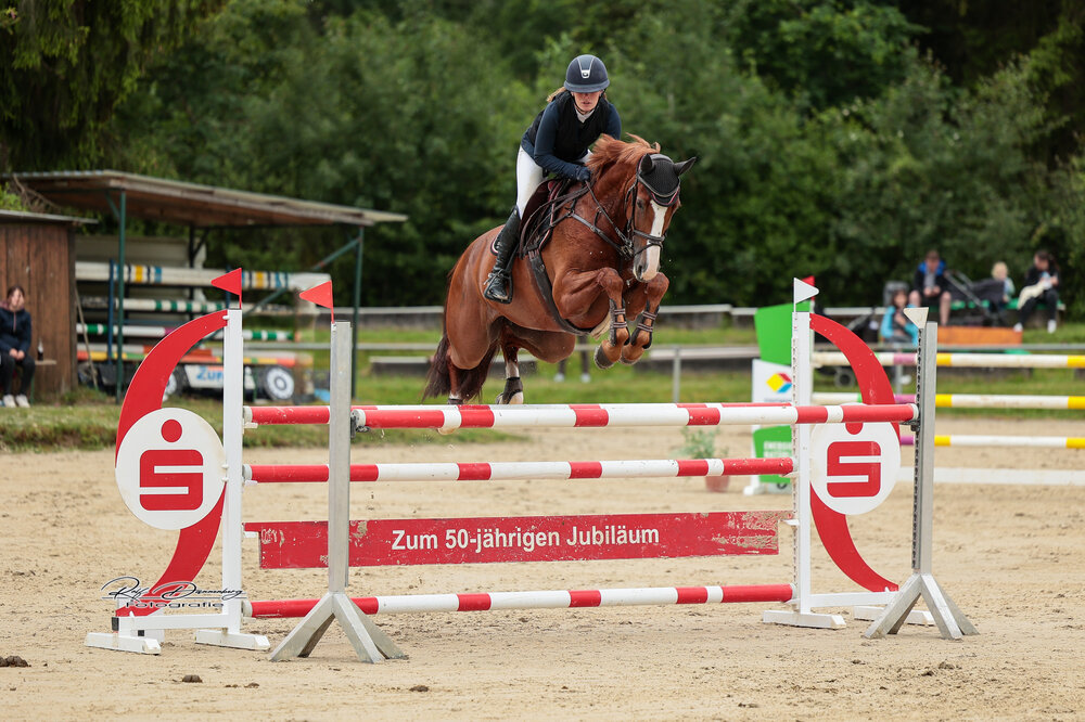 Laola von Ogano aus der Laquirinha v. Quality - Landor S | Züchter: Gerd Sosath, Lemwerder
