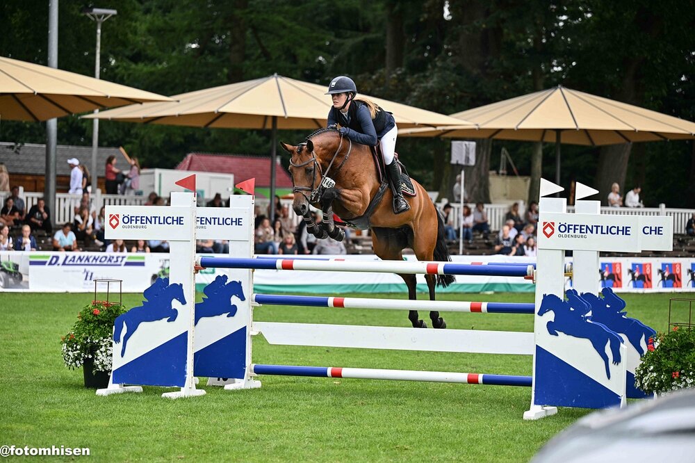 One and Only by Ogano out of Lady Catokia by Landor S - Contender | Breeder: Gerd Sosath, Lemwerder | © Muhannad Mhisen