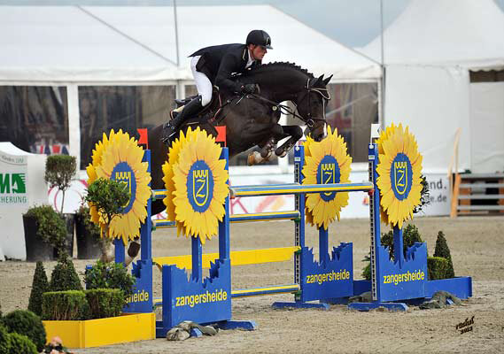 Olympic Fire von Odermus R aus der Tolinda von C-Indoctro - Voltaire | Züchter: Jeroen H.J. Jansman, Niederlande