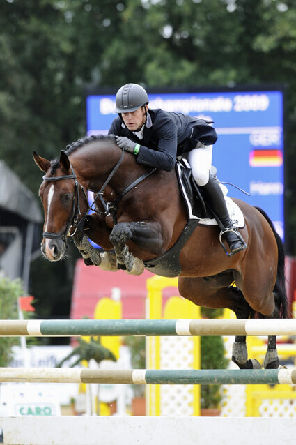 FRH Quaid von Quidam's Rubin aus der Vojelza von Voltaire - Ramiro | Züchter: Friedhelm Vehlber, Espelkamp