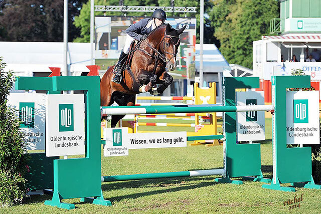 FRH Quaid by Quidam's Rubin out of Vojelza by Voltaire - Ramiro | Breeder: Friedhelm Vehlber, Espelkamp (Germany)