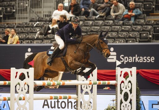 Quantico v. Quaid a.d. Lyscha v. Landor S x Argentinus | Züchter: Gerd Sosath