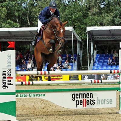 Querque von Quality aus der Talandia von Landor S - Top of Class | Züchter: Gerd Harms, Elsfleth