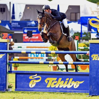 Johannes Ehning mit Quinta von Quality aus der F-Lucia von Leuthen - Lagos | Züchter: Willi Burns, Hamminkeln