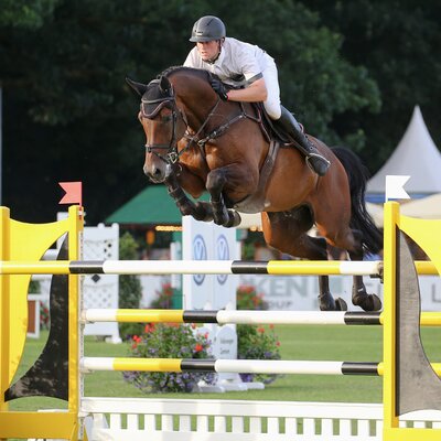 Quel Chanel von Quality aus der Chandra von Landor S - Cor de la Bryère | Züchter: Karl Heinz Schmacker, Wardenburg