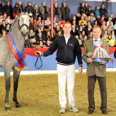 Quincento von Quality aus der Caprice V von Cantus - Marduk | Züchterin: Angelika Jahr, Hamburg