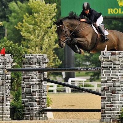 Quite Dark von Quality aus der Eleganz von Alcatraz - Landgraf I | Züchter: Günther Heilshorn, Wulsbüttel