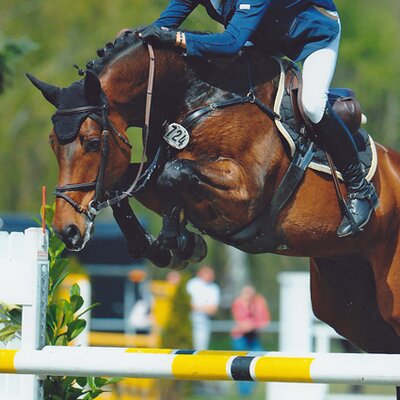 Quel Chanel von Quality aus der Chandra von Landor S - Cor de la Bryere | Züchter: Karl-Heinz Schmacker, Wardenburg