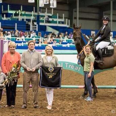 Quickie von Quality aus der Shira von Sergeant Pepper I - Winston | Züchter: Enno und Gerd Claußen, Edewecht