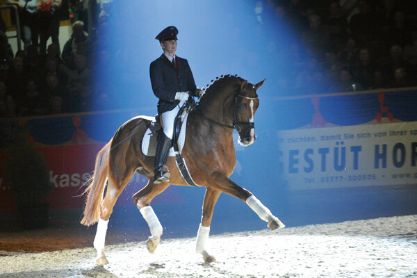 Quaterback von Quaterman aus der Passionata von Brandenburger - Brentano II | Züchter: Stiftung Brandenburgisches Haupt- und Landgestüt, Neustadt/Dosse 