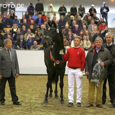 Rock of Gibraltar by Rock Forever out of Fürstin Ramadour by Fürst Heinrich - Rivellino xx | Breeder: Jörg-Michael Lenhard, Vreden (Germany) Rock of Gibraltar by Rock Forever out of Fürstin Ramadour by Fürst Heinrich - Rivellino xx | Breeder: Jörg-Michael Lenhard, Vreden (Germany)