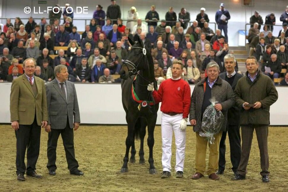 Rock of Gibraltar by Rock Forever out of Fürstin Ramadour by Fürst Heinrich - Rivellino xx | Breeder: Jörg-Michael Lenhard, Vreden (Germany) Rock of Gibraltar by Rock Forever out of Fürstin Ramadour by Fürst Heinrich - Rivellino xx | Breeder: Jörg-Michael Lenhard, Vreden (Germany)