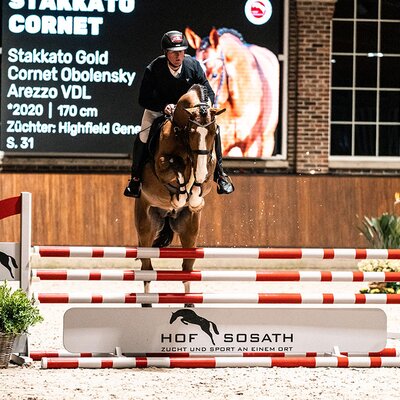Stakkato Cornet von Stakkato Gold aus der Lamose MB von Cornet Obolensky x Arezzo VDL | Züchter: Highfield Genetics, Niederlande