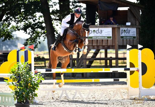Stakkato Cornet von Stakkato Gold aus der Lamose MB von Cornet Obolensky x Arezzo VDL | Züchter: Highfield Genetics, Niederlande | © Dirk Rüchel