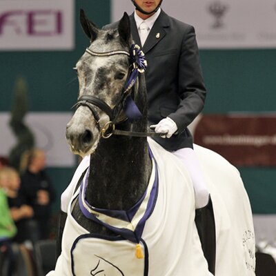 WM-Finalistin und Skandinavische Meisterin Toerveslettens Stamina *2005 von Stedinger aus der Clara von Carano - Resident | Züchterin: Pernille Rugaard, Dänemark WM-Finalistin und Skandinavische Meisterin Toerveslettens Stamina *2005 von Stedinger aus der Clara von Carano - Resident | Züchterin: Pernille Rugaard, Dänemark