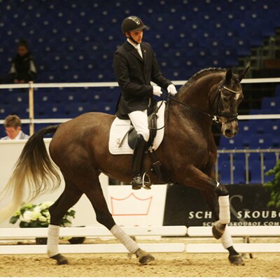WM-Finalistin und Skandinavische Meisterin Toerveslettens Stamina *2005 von Stedinger aus der Clara von Carano - Resident | Züchterin: Pernille Rugaard, Dänemark WM-Finalistin und Skandinavische Meisterin Toerveslettens Stamina *2005 von Stedinger aus der Clara von Carano - Resident | Züchterin: Pernille Rugaard, Dänemark