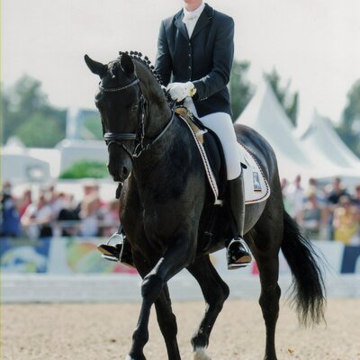 Bronzemedaillengewinner der WM 2010: Claudia Rüscher mit Schumacher *2005 von Stedinger aus der Wildrose von Weltmeyer - Absinth | Züchter: Wilhelm Lambardt, Hamm Bronzemedaillengewinner der WM 2010: Claudia Rüscher mit Schumacher *2005 von Stedinger aus der Wildrose von Weltmeyer - Absinth | Züchter: Wilhelm Lambardt, Hamm