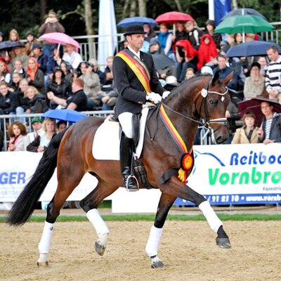 Bundeschampion 2008 Heiner Schiergen und Santorini OLD *2004 von Stedinger aus der Alexa von Donnerschwee - Ahorn Z | Züchter: Hans-Ludwig Beilken, Bremen Bundeschampion 2008 Heiner Schiergen und Santorini OLD *2004 von Stedinger aus der Alexa von Donnerschwee - Ahorn Z | Züchter: Hans-Ludwig Beilken, Bremen