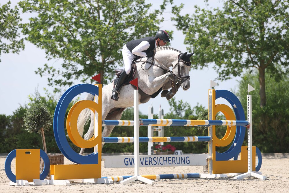 Toucento von Toulon aus der Happy Magdalon von Cento - Gottwald | Züchter: Willy Lootens, Belgien 