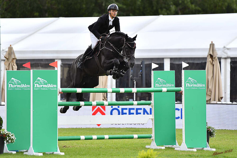 Vagabond by Vagabond de la Pomme out of Donnalina by C-Indoctro x Uniek | Breeder: Gebr. Lohuis, Niederlande Photo: Mhisen