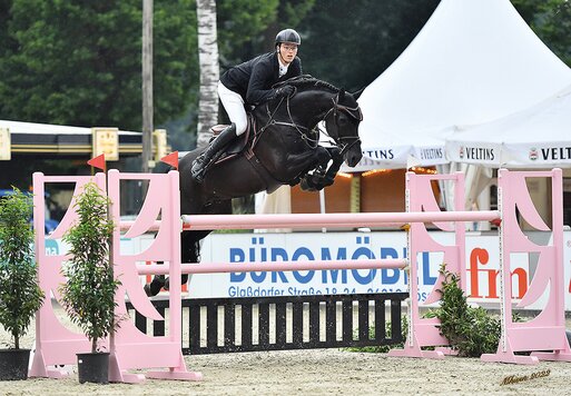 Vagabond von Vagabond de la Pomme aus der Donnalina von C-Indoctro x Uniek | Züchter: Gebr. Lohuis, Niederlande 