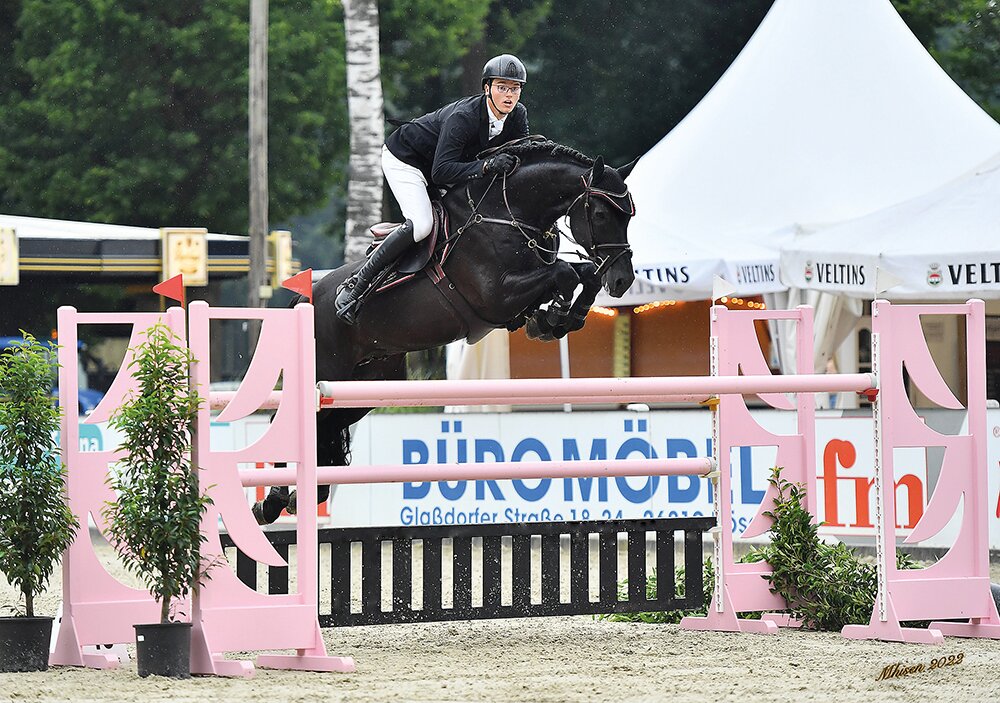 Vagabond von Vagabond de la Pomme aus der Donnalina von C-Indoctro x Uniek | Züchter: Gebr. Lohuis, Niederlande 