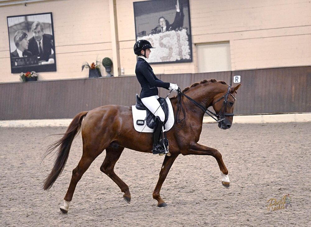 Vivaldos von Vivaldi aus der St.Pr.St. Doris Day von Desperados FRH - Brentano II | Züchter: Anna Genfors, Förslöv, Schweden 