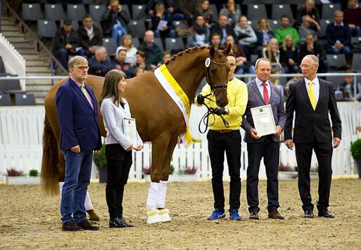 Vivaldos von Vivaldi aus der St.Pr.St. Doris Day von Desperados FRH - Brentano II | Züchter: Anna Genfors, Förslöv, Schweden 