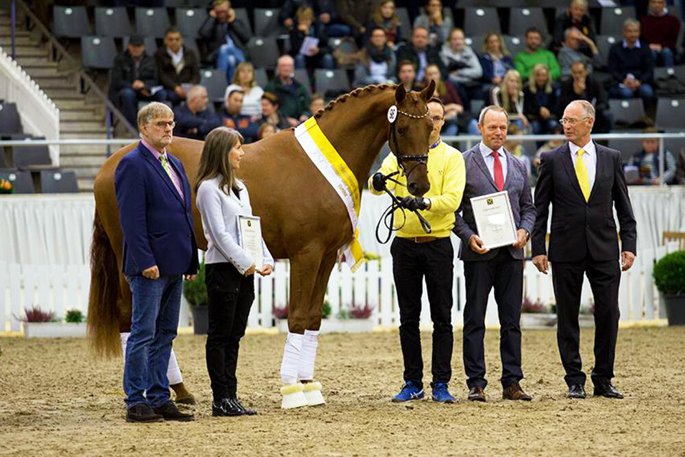 Vivaldos von Vivaldi aus der St.Pr.St. Doris Day von Desperados FRH - Brentano II | Züchter: Anna Genfors, Förslöv, Schweden 