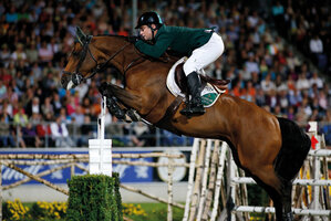 Blue Loyd von Landor S - Hadj AA - Fair Play III | Züchter: Monika Kraft