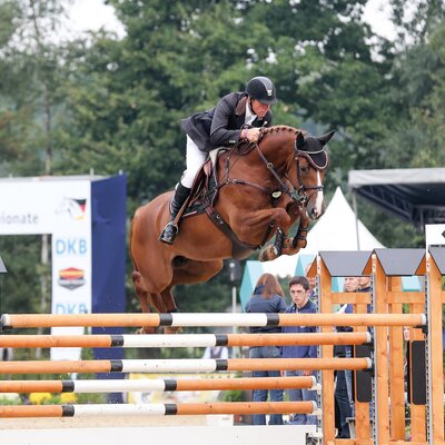 Cadora von Catoki aus der Lady Heida II von Landor S - Contender | Züchter: Gerd Sosath, Lemwerder Cadora von Catoki aus der Lady Heida II von Landor S - Contender | Züchter: Gerd Sosath, Lemwerder