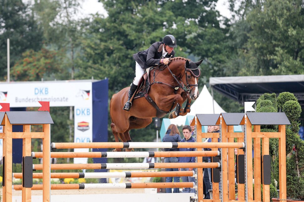 Cadora von Catoki aus der Lady Heida II von Landor S - Contender | Züchter: Gerd Sosath, Lemwerder Cadora von Catoki aus der Lady Heida II von Landor S - Contender | Züchter: Gerd Sosath, Lemwerder